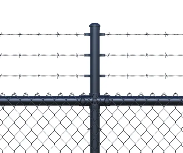 Chain Link
