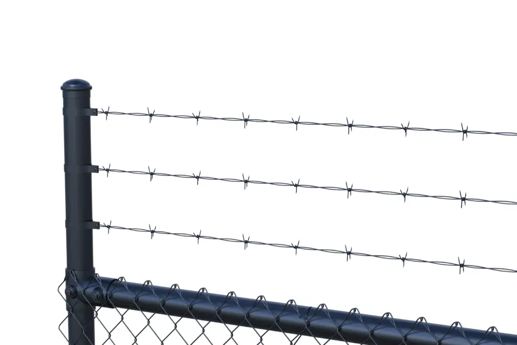 Chain Link